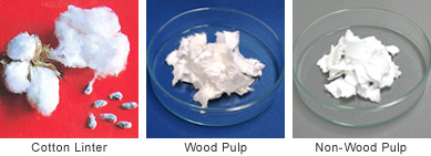 植物繊維 原材料について 製品をお探しの方 阿波製紙株式会社